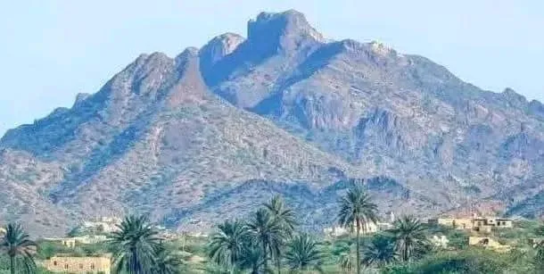 لماذا تمنع سلطات الوصاية المال والسلاح عن جبهات الجنوب المرابطة في الميدان