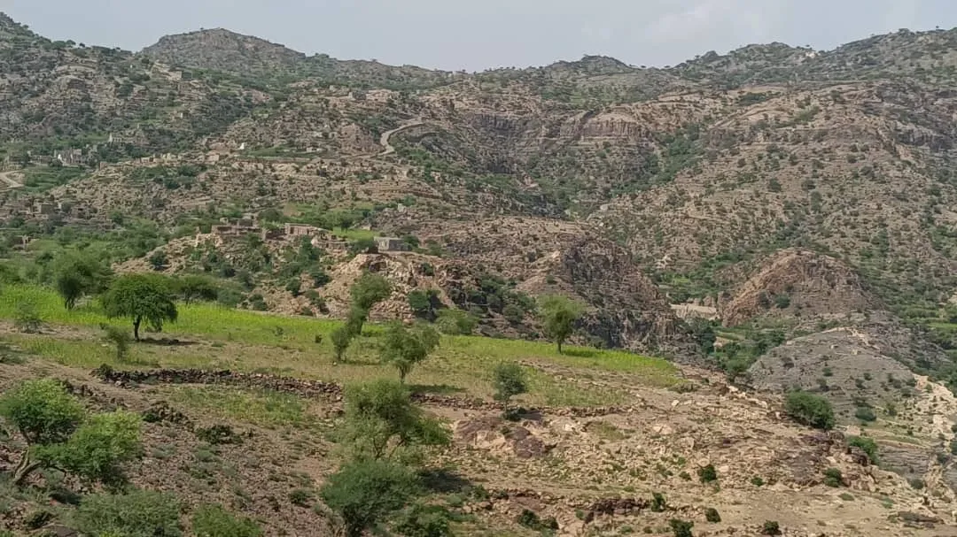 القوات الجنوبية تكبد مليشيا الحوثي خسائر فادحة في جبهة المسيمير