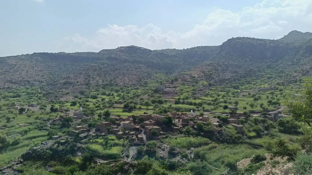 لحج.. القوات المسلحة الجنوبية تتصدى لهجوم حوثي شمال غرب المسيمير