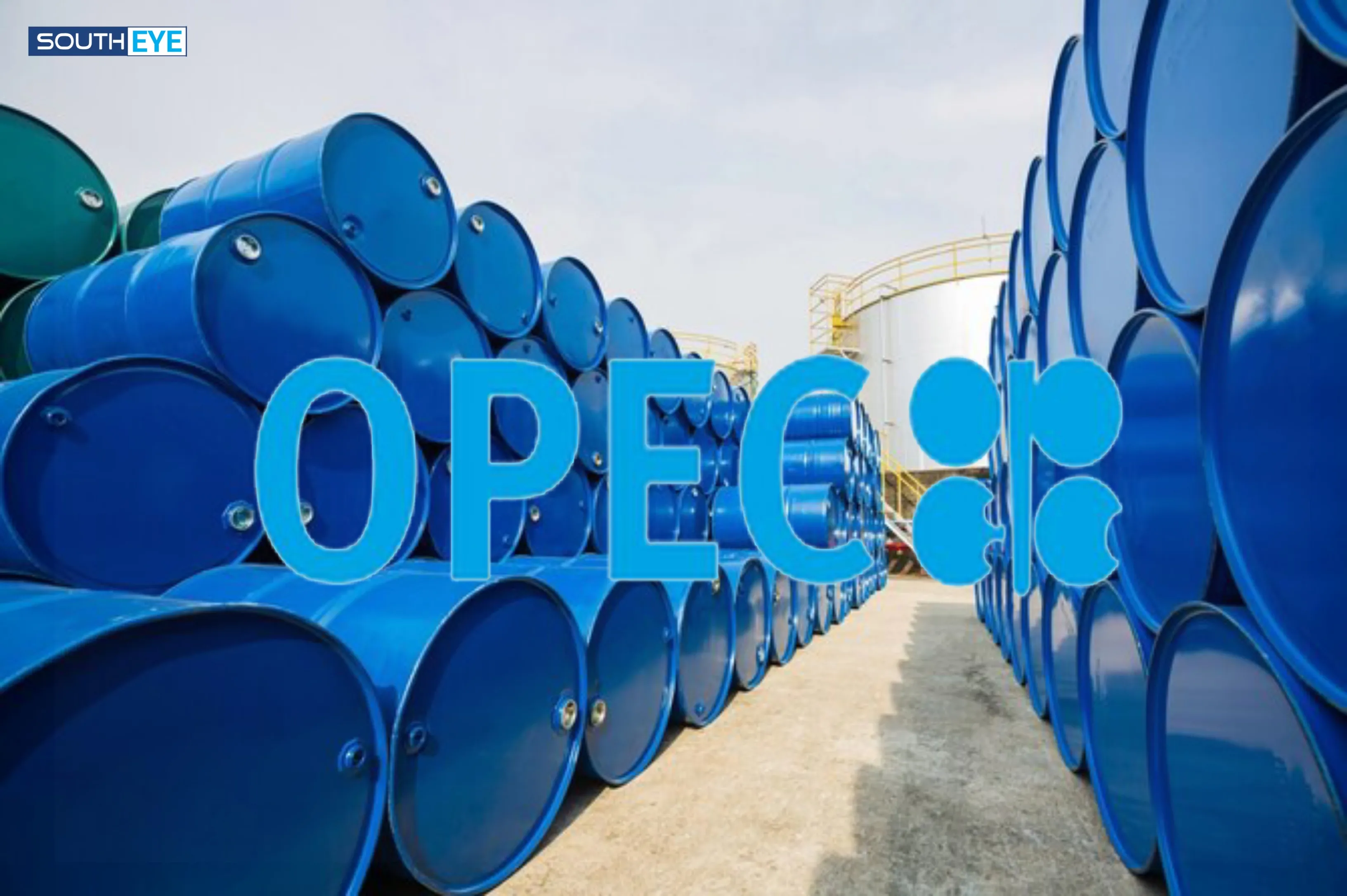 Economic Analysis of OPEC+ Decisions