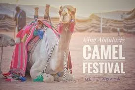 Saudi\' Camel Festival