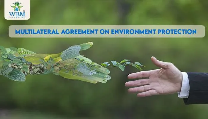 Global Environmental Agreements