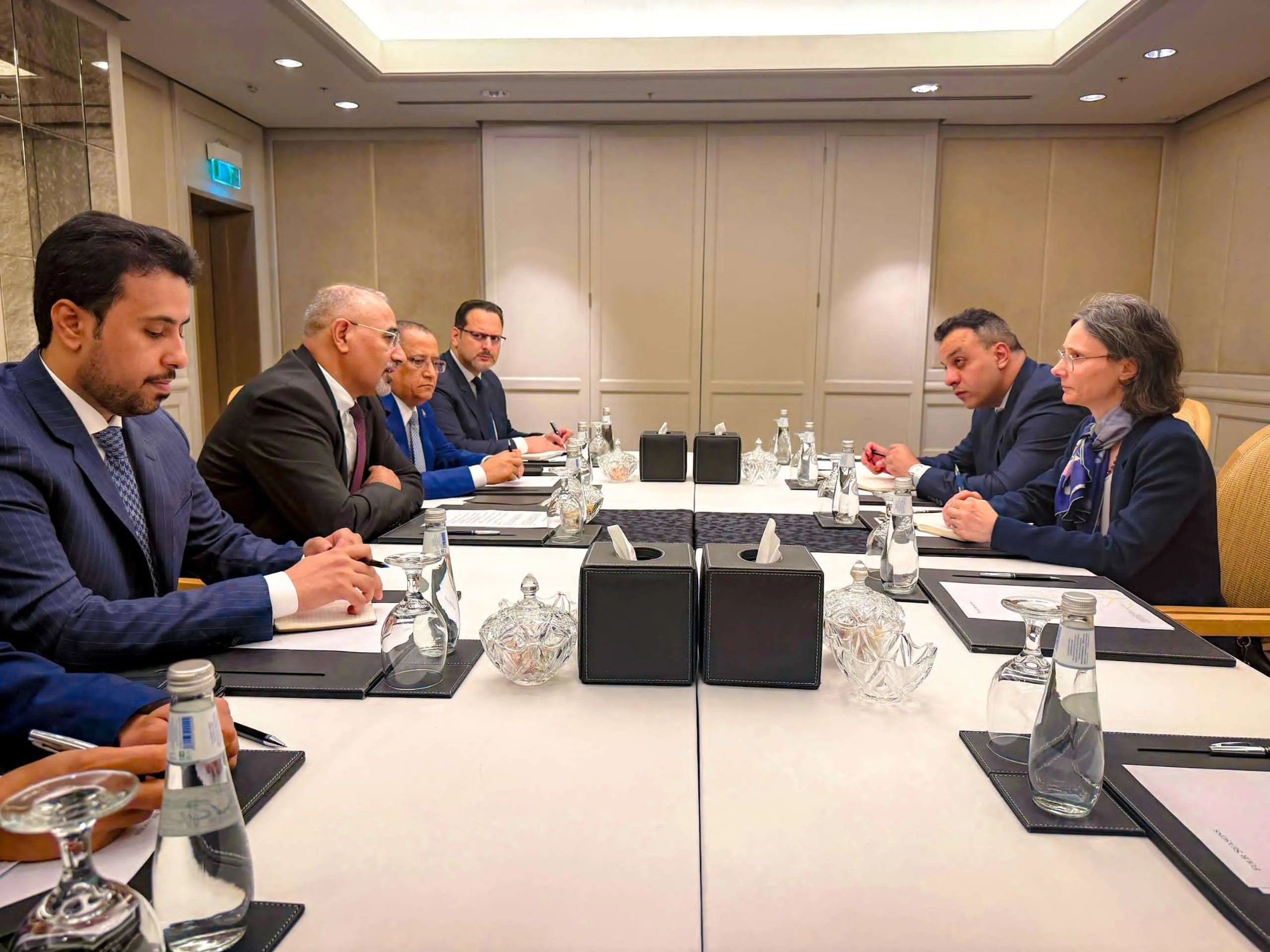 President Al-Zubaidi Discusses Economic and Development Support Efforts with French Ambassador