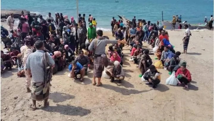 900 مهاجر منذ مطلع يوليو.. تزايد تدفق المهاجرين الإثيوبيين إلى سواحل شبوة