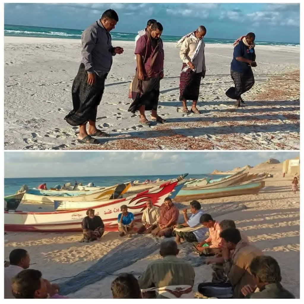 نفوق الروبيان في شاطئ محمية دطوح بسقطرى يثير قلقًا بيئيًا واسعًا