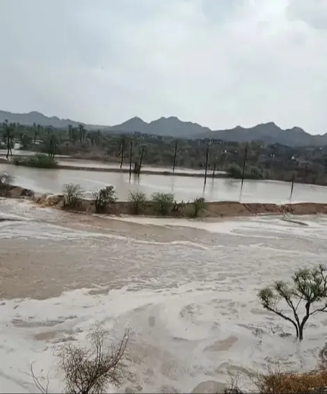 السيول تجتاح عددًا من القرى غربي اليمن ووفاة وفقدان 9 مواطنين بينهم امرأة