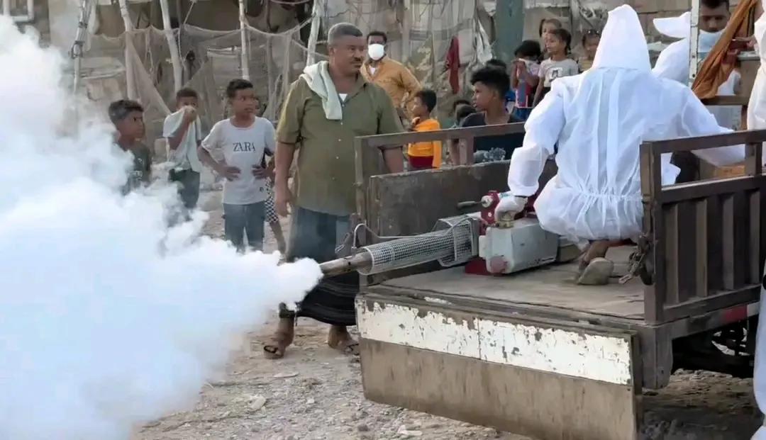 المجلس الانتقالي بالشحر يدشّن حملة رش ضبابي شاملة لمكافحة الحشرات وتعزيز الصحة العامة