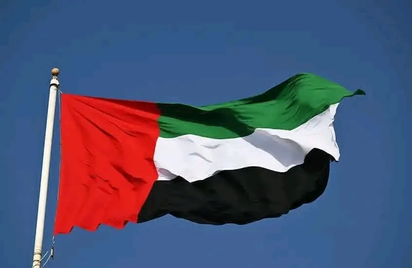 الإمارات تنسحب من "أوبك" و"أوبك+"