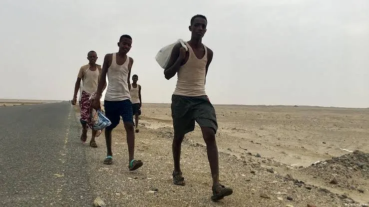 الهجرة غير المنظمة إلى الجنوب.. تحدٍ متصاعد يفرض قراءة مسؤولة للمستقبل