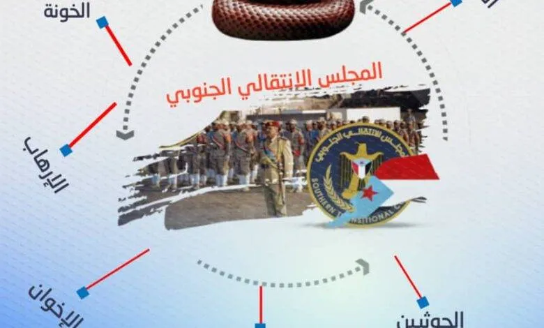 الضالع في مرمى الاستهداف.. عندما تقود حملات الشيطنة إلى تفكيك الجبهة الجنوبية